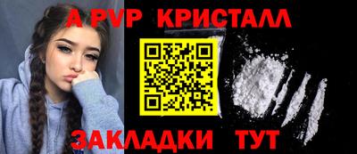 СК Новодвинск