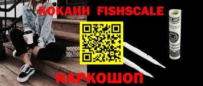 СК Новодвинск