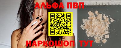 СК Новодвинск