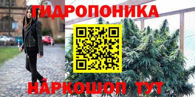 ешки Новозыбков