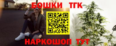 СК Новодвинск