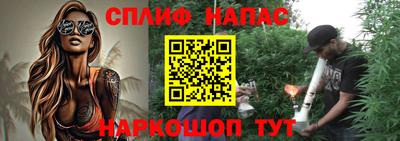 СК Новодвинск