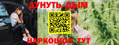 СК Новодвинск