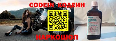 СК Новодвинск