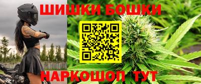 СК Новодвинск