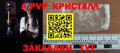 СК Новодвинск