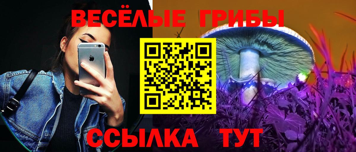 Галлюциногенные грибы Magic Shrooms Соликамск